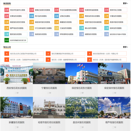 宝石花医疗集团，打造医康养信息化大平台